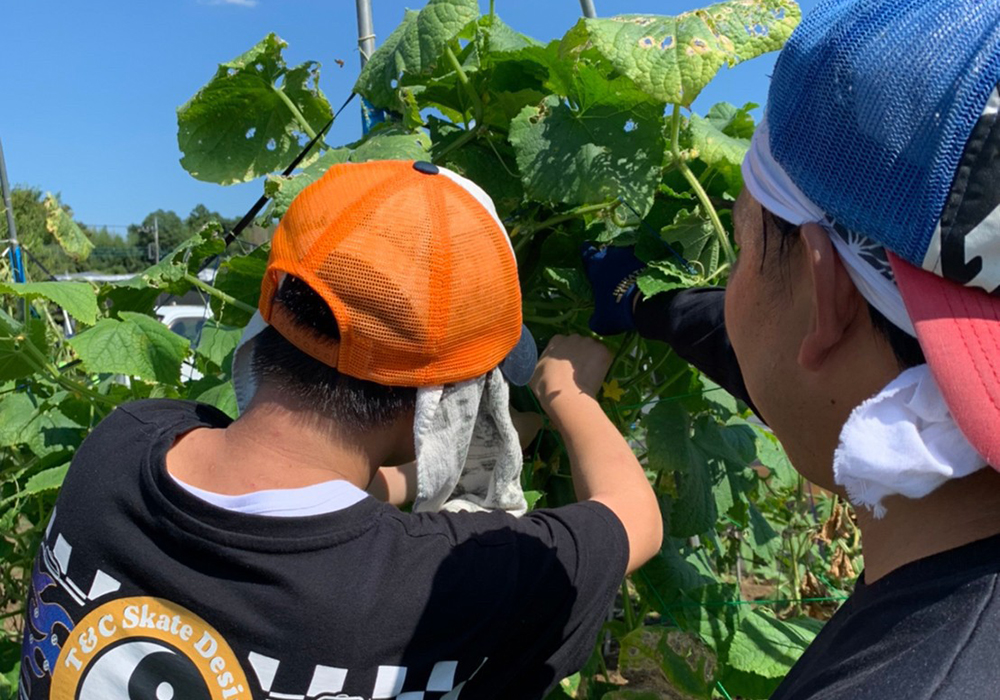 【農福連携】グローバルファーム（農園）で夏野菜の収穫・植え付けを放課後等デイサービスの子どもたちと合同で実施しました。・画像