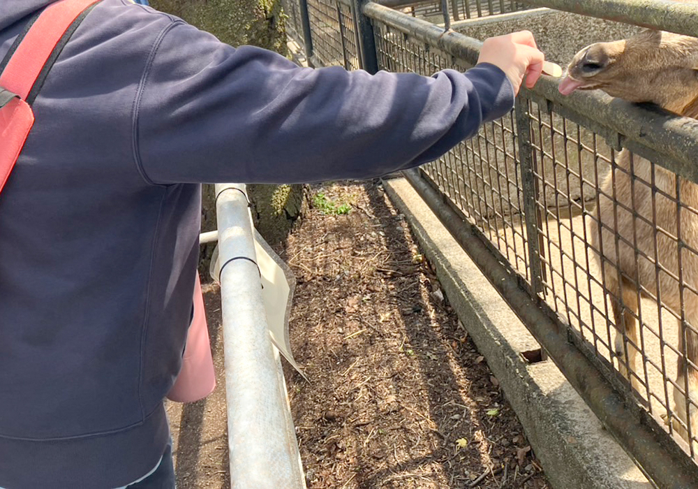 《外出レクリエーション》宇都宮動物園にて動物と触れ合い、充実したひとときを過ごしました＠宇都宮駅東店・画像