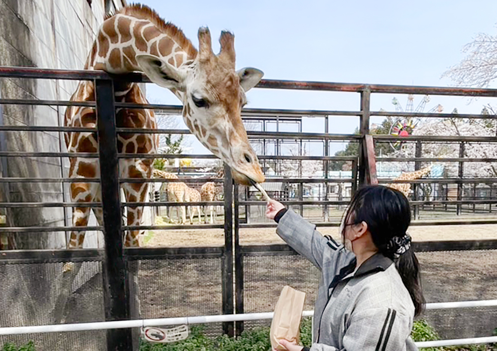 《外出レクリエーション》宇都宮動物園にて動物と触れ合い、充実したひとときを過ごしました＠宇都宮駅東店・画像